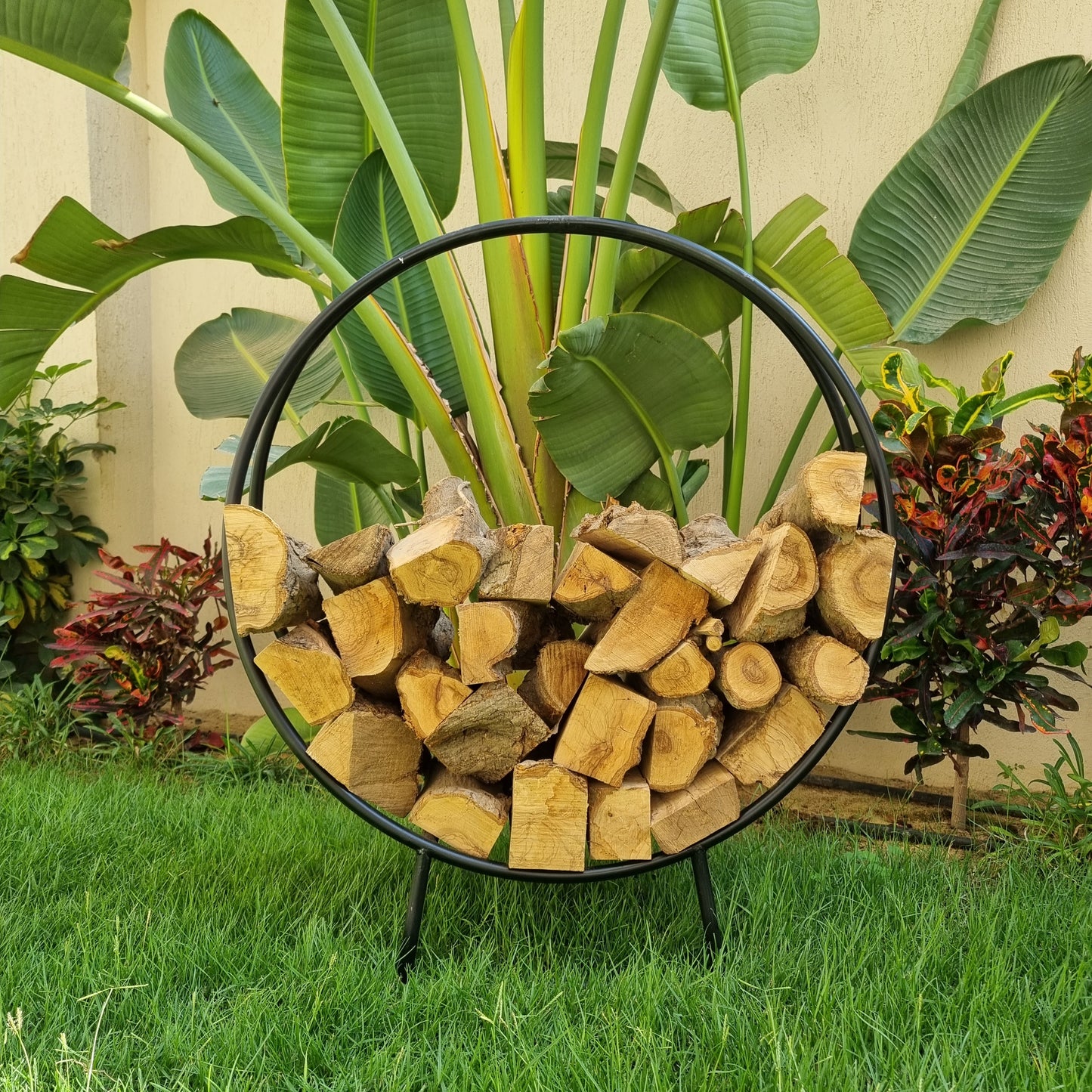 Firewood Logs Stand