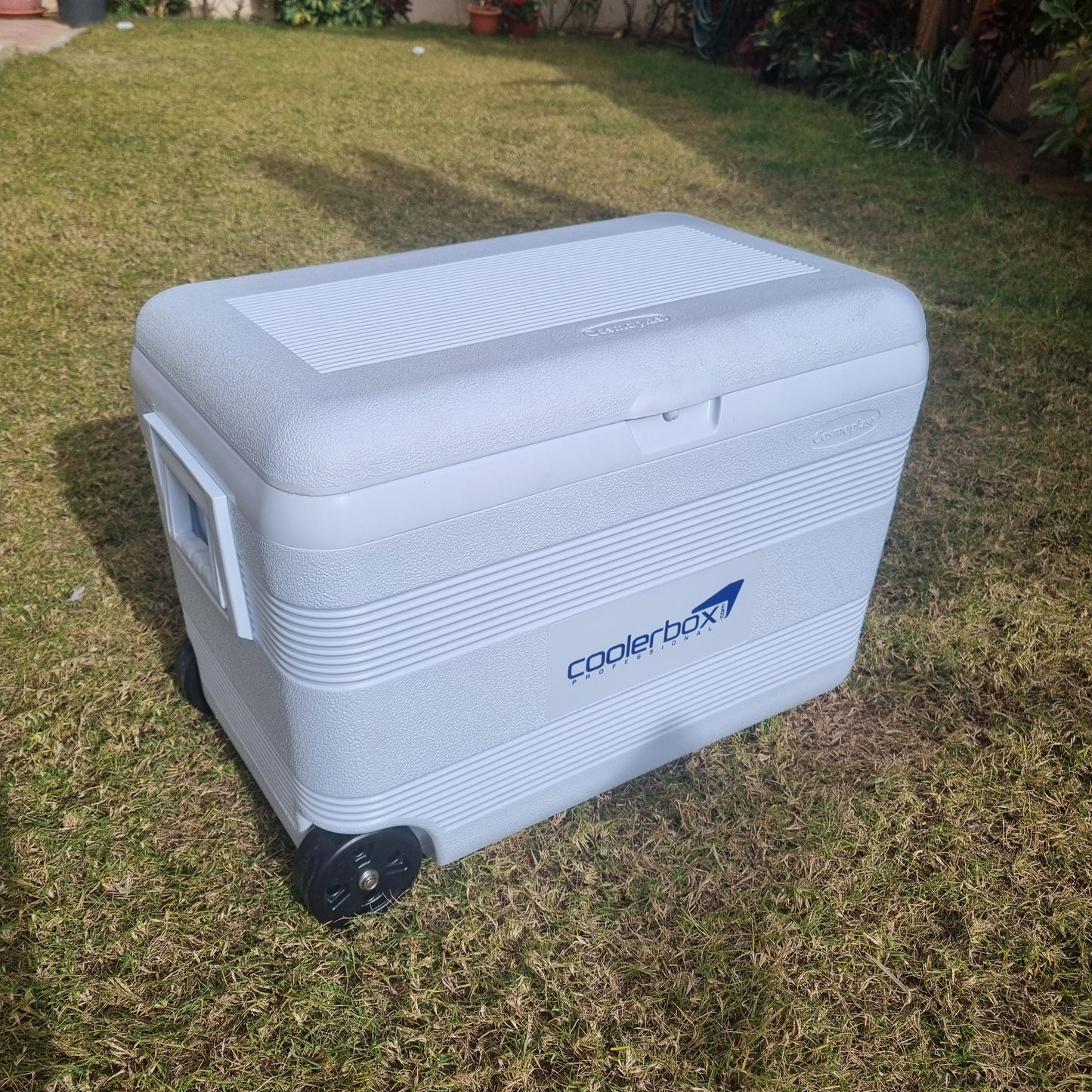 Cosmoplast - 60L Ice Box With Wheels