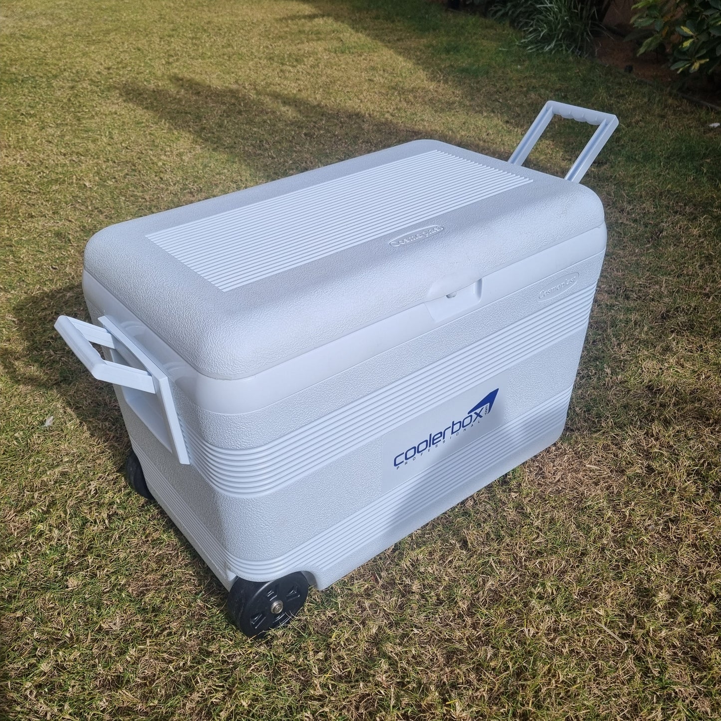 Cosmoplast - 60L Ice Box With Wheels
