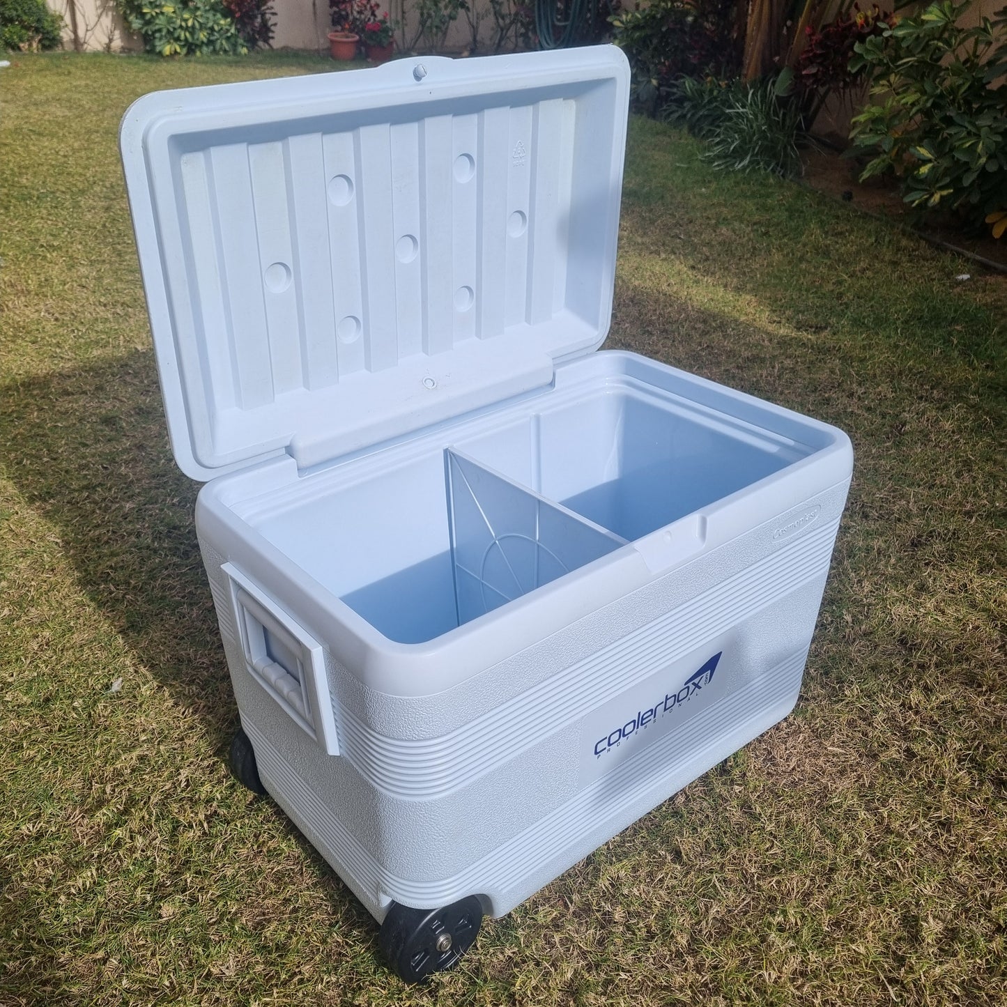 Cosmoplast - 60L Ice Box With Wheels