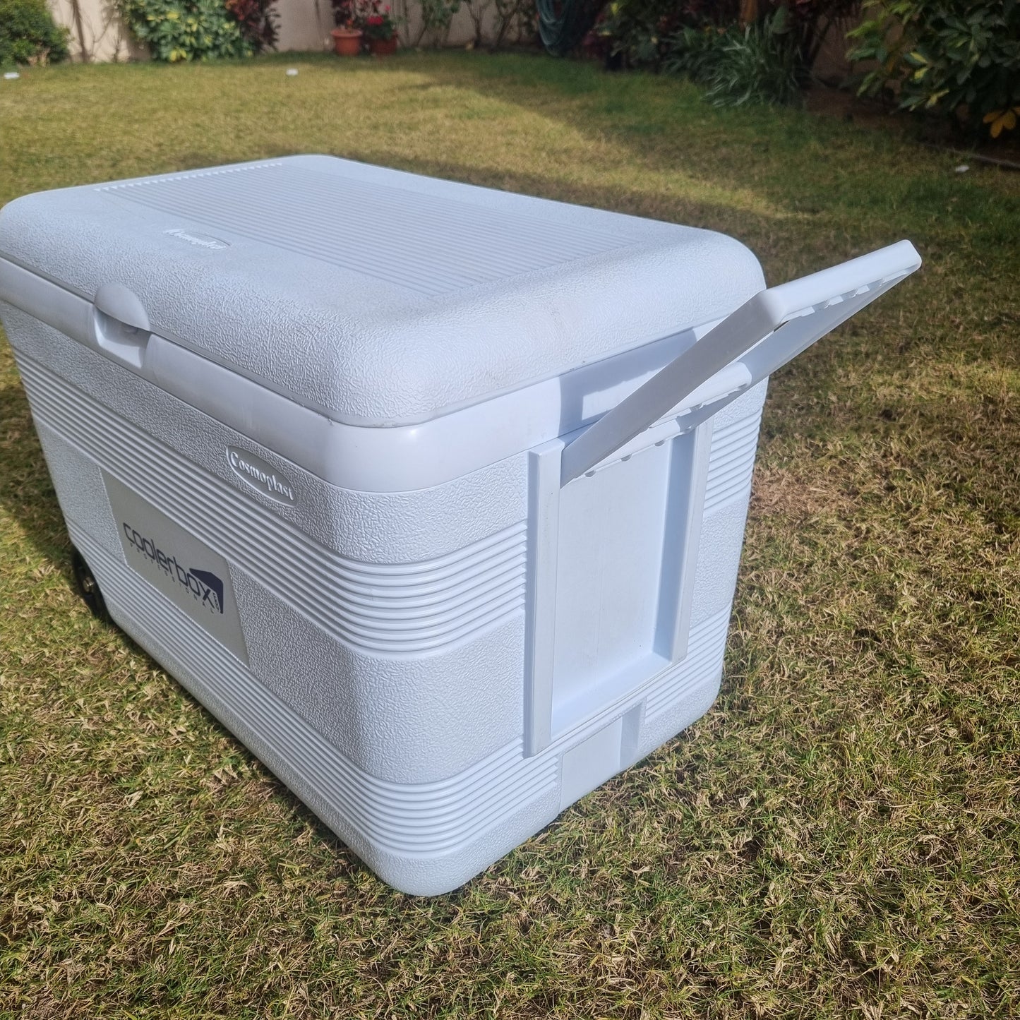 Cosmoplast - 60L Ice Box With Wheels