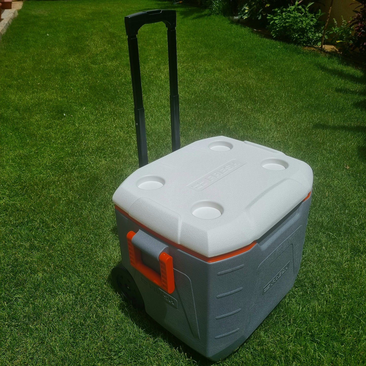 Fresh - Icebox 48L (trolley)