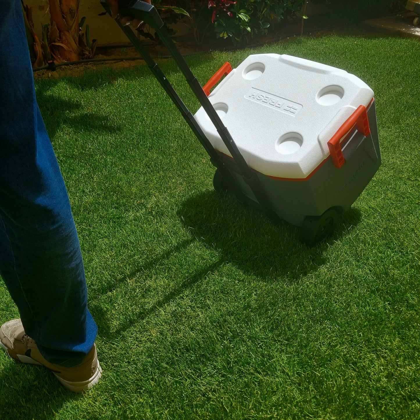 Fresh - Icebox 48L (trolley)