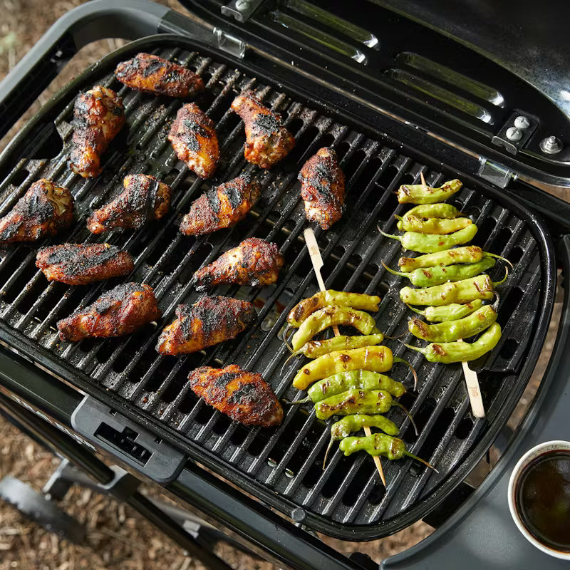 Weber - Traveler Gas Barbecue