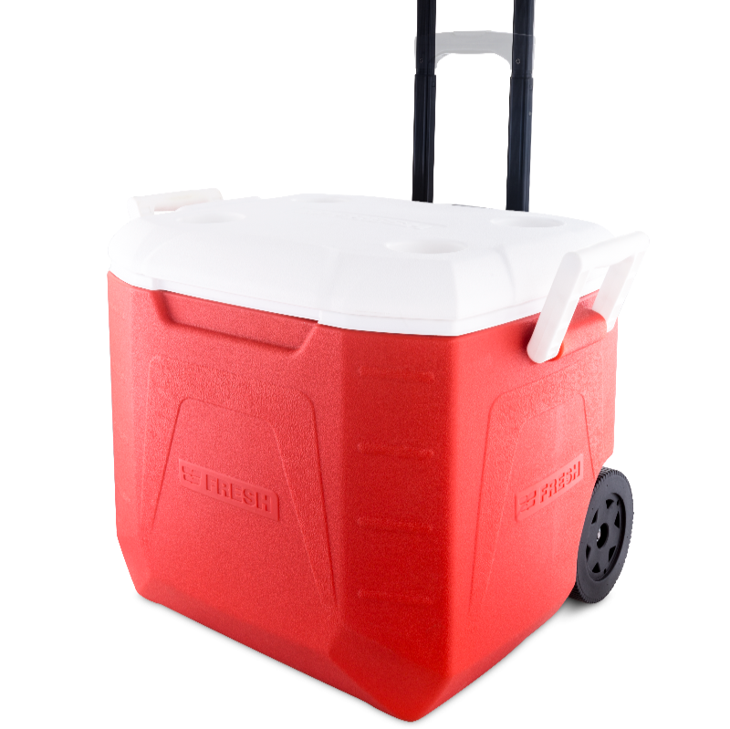 Fresh - Icebox 48L (trolley)