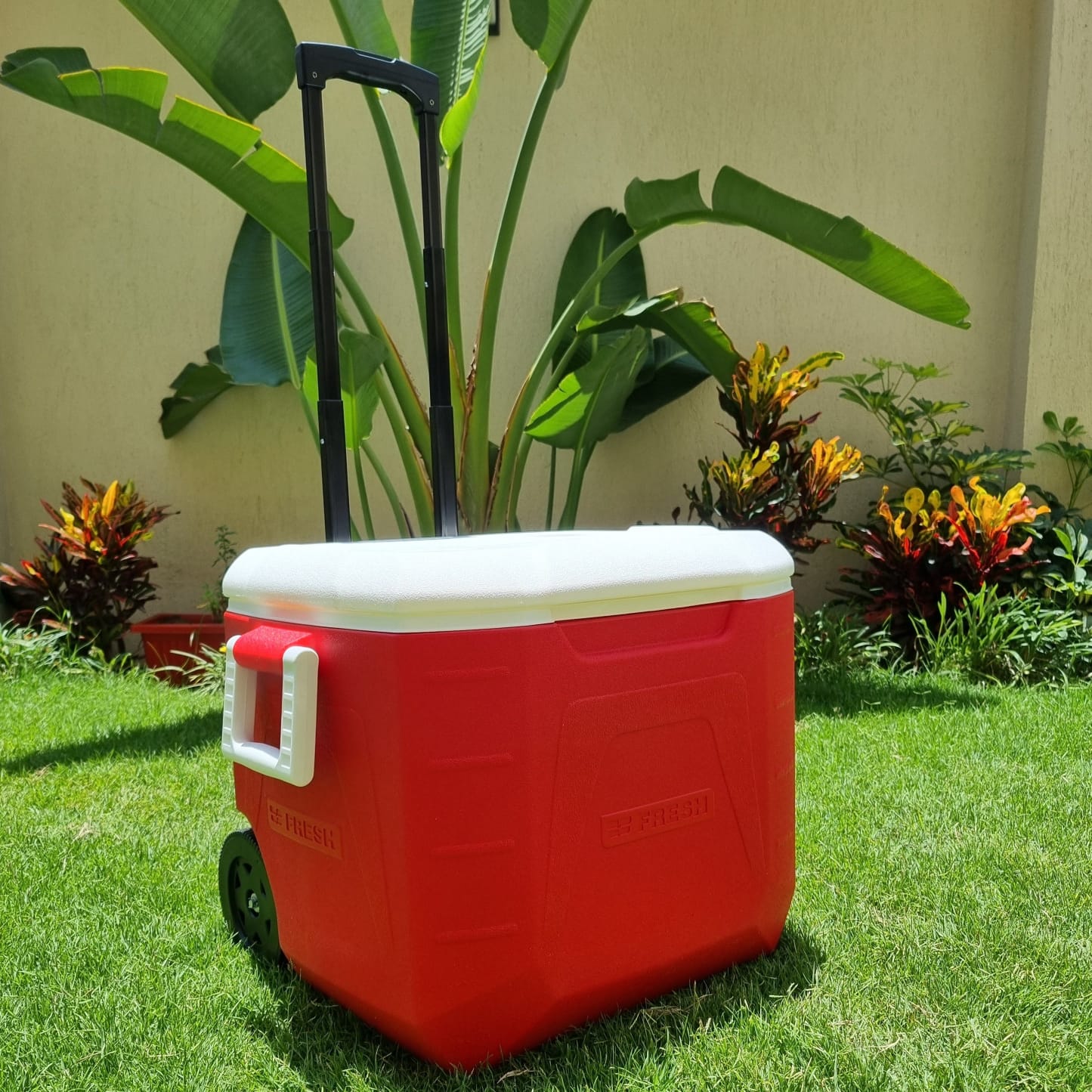 Fresh - Icebox 48L Red (trolley)