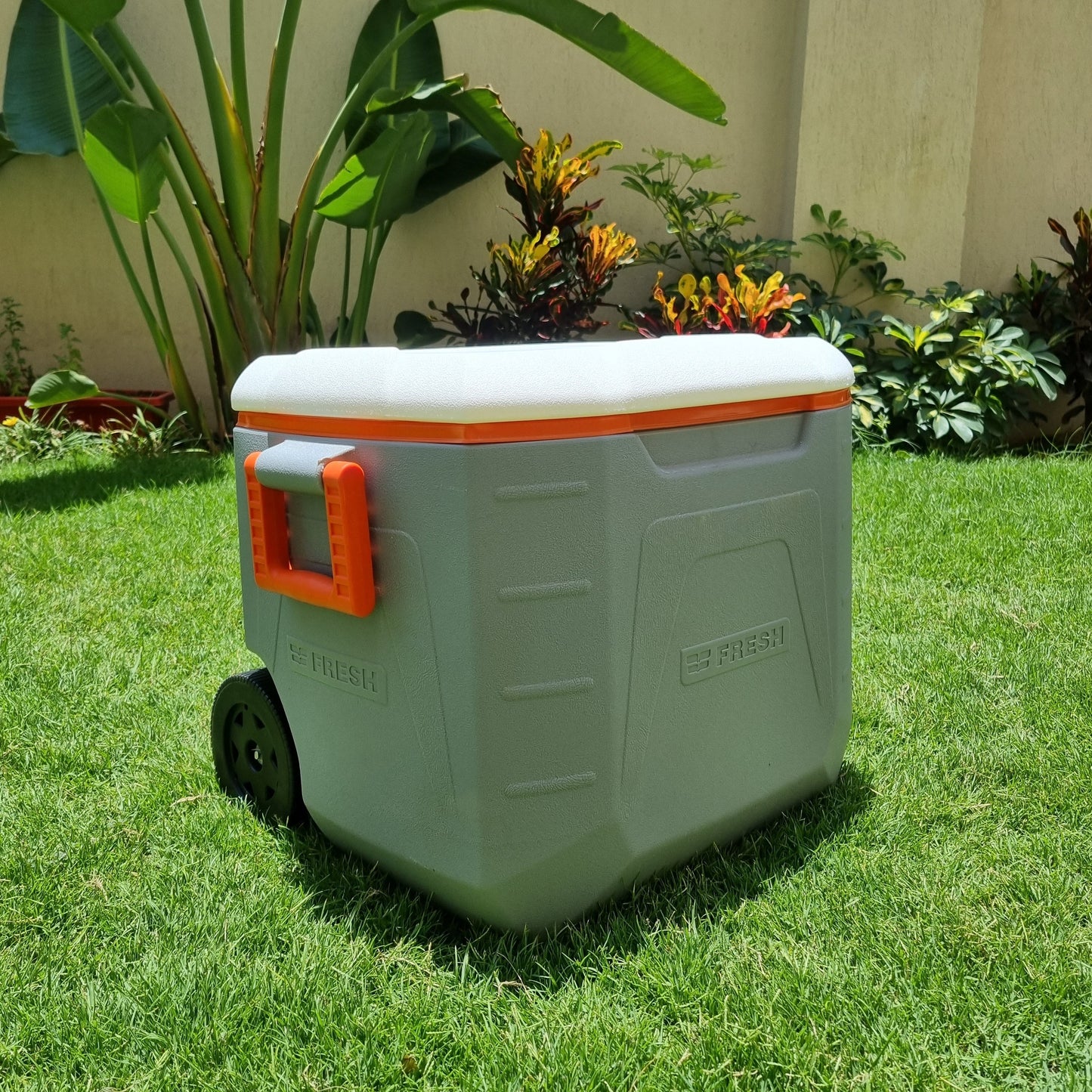 Fresh - Icebox 48L (trolley)