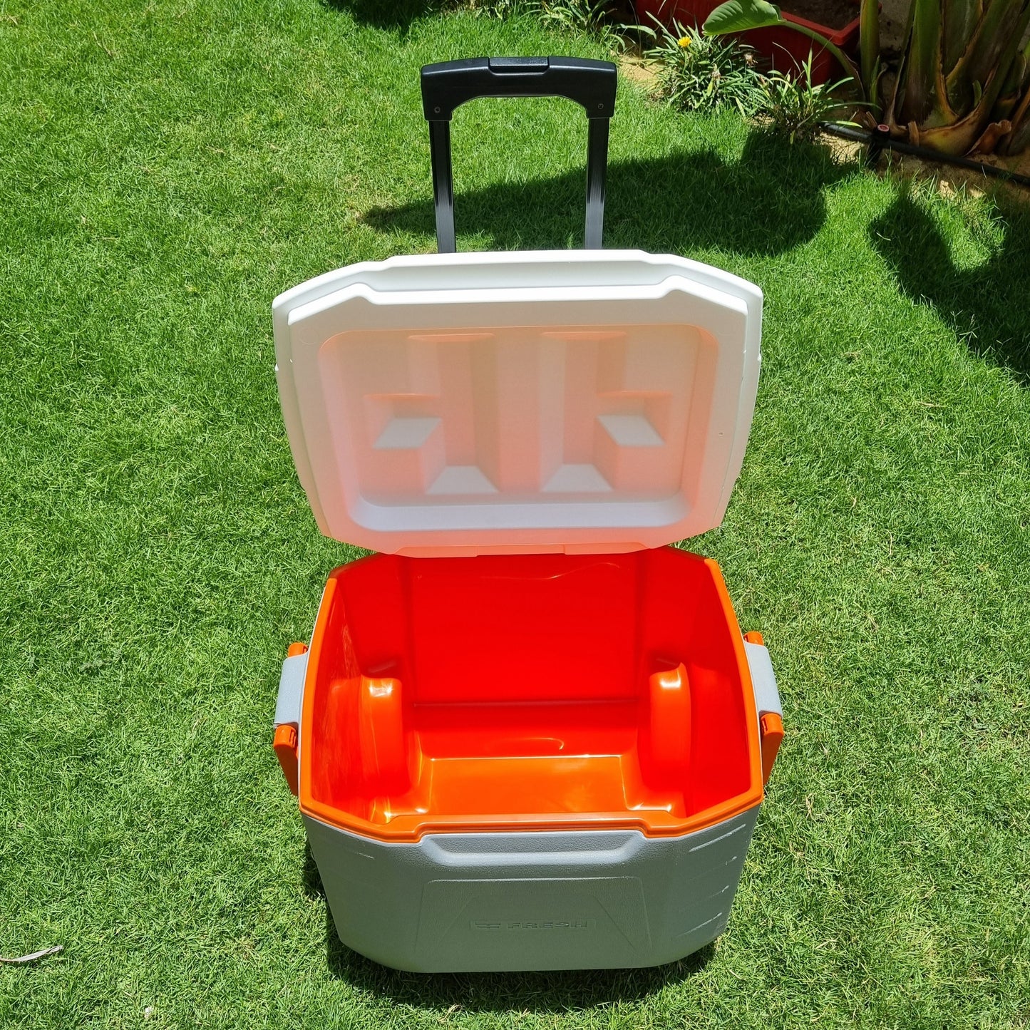 Fresh - Icebox 48L (trolley)