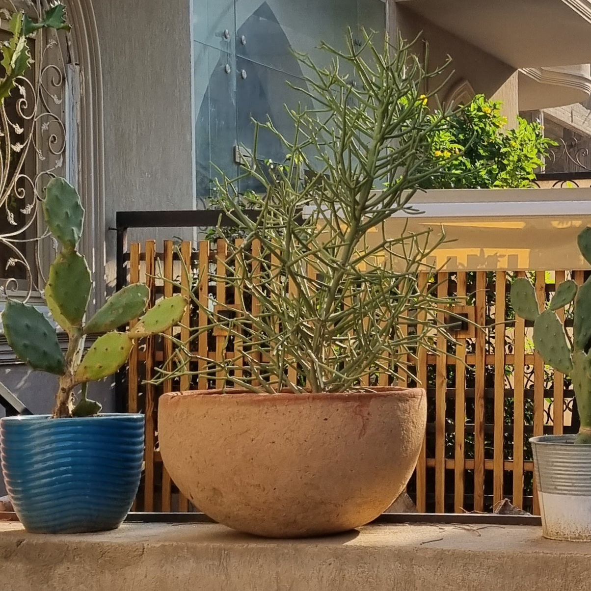 Terracotta Clay Pot