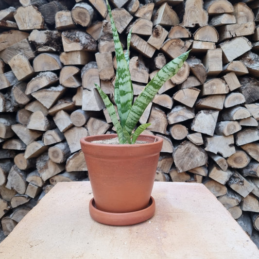 Terracotta Clay Pot - Bell shape