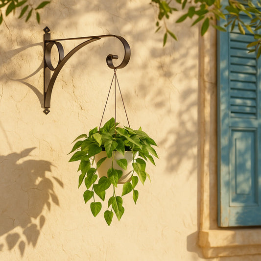 Genco - Ferro Antico - Plant Hook