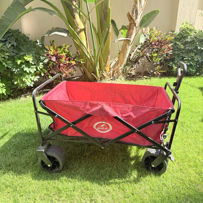 Beach Wagon