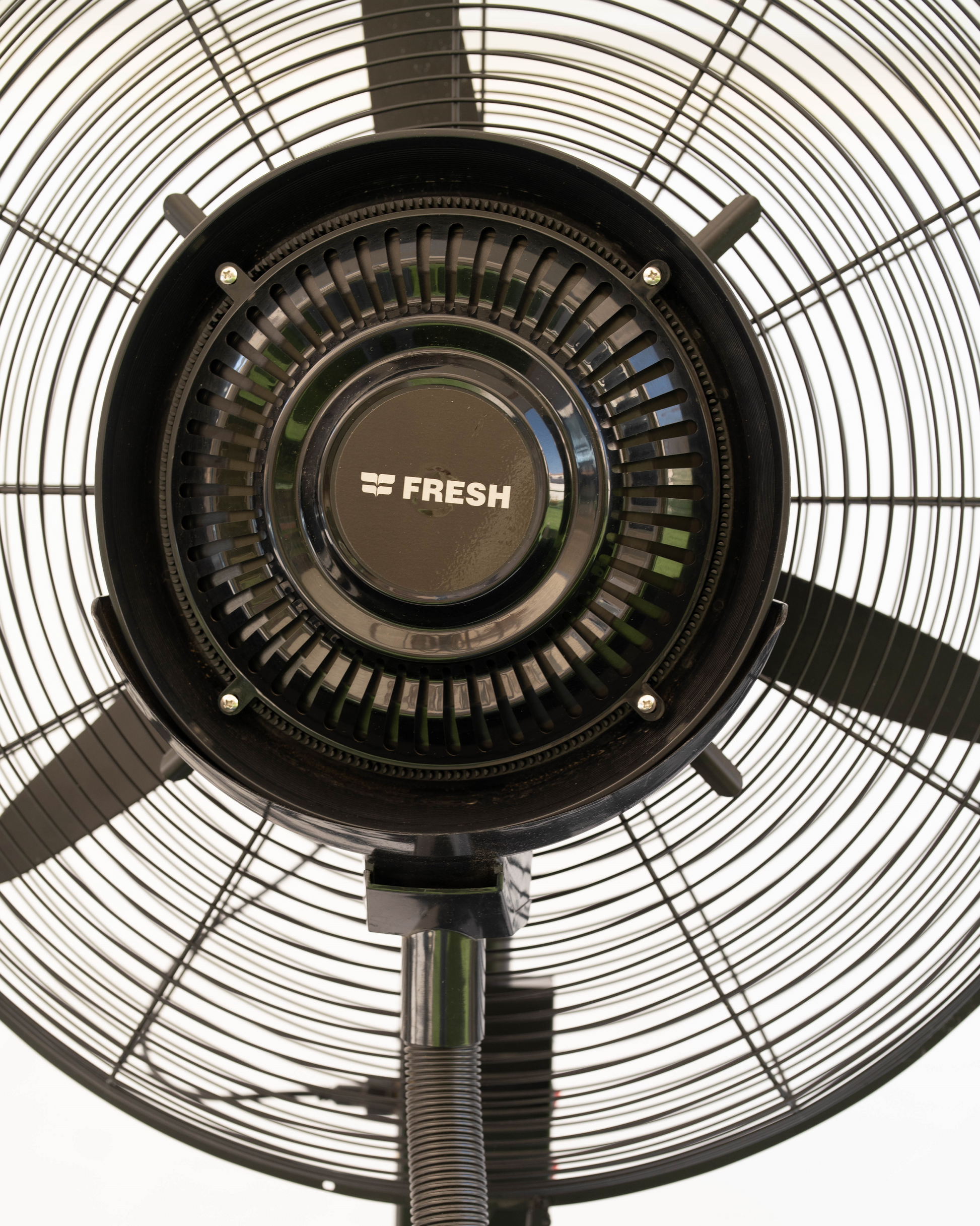 Close-up of a ceiling fan with 'FRESH' branding on the motor housing.
