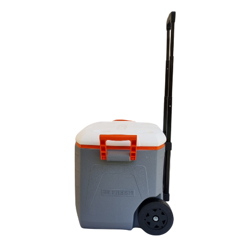 Fresh - Icebox 48L (trolley)