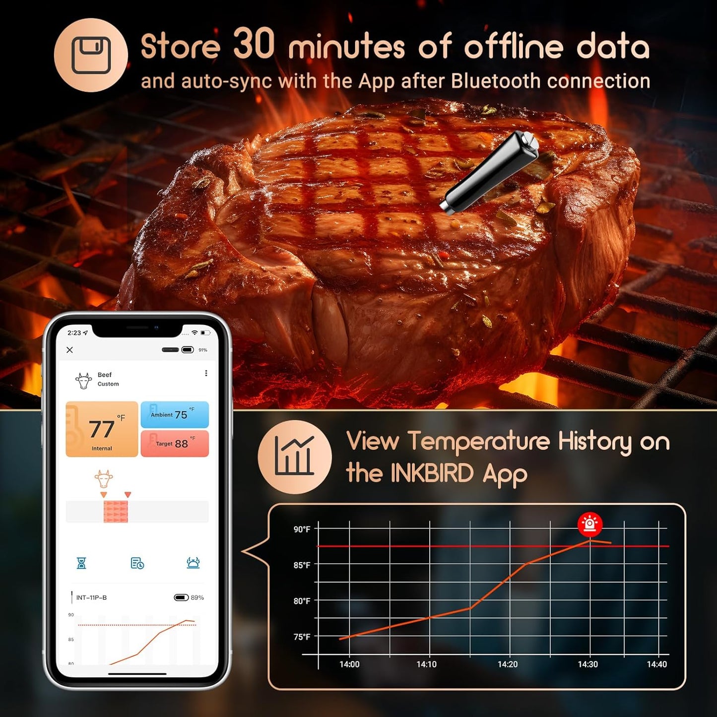 Inkbird - Bluetooth Meat Thermometer INT-11P-B