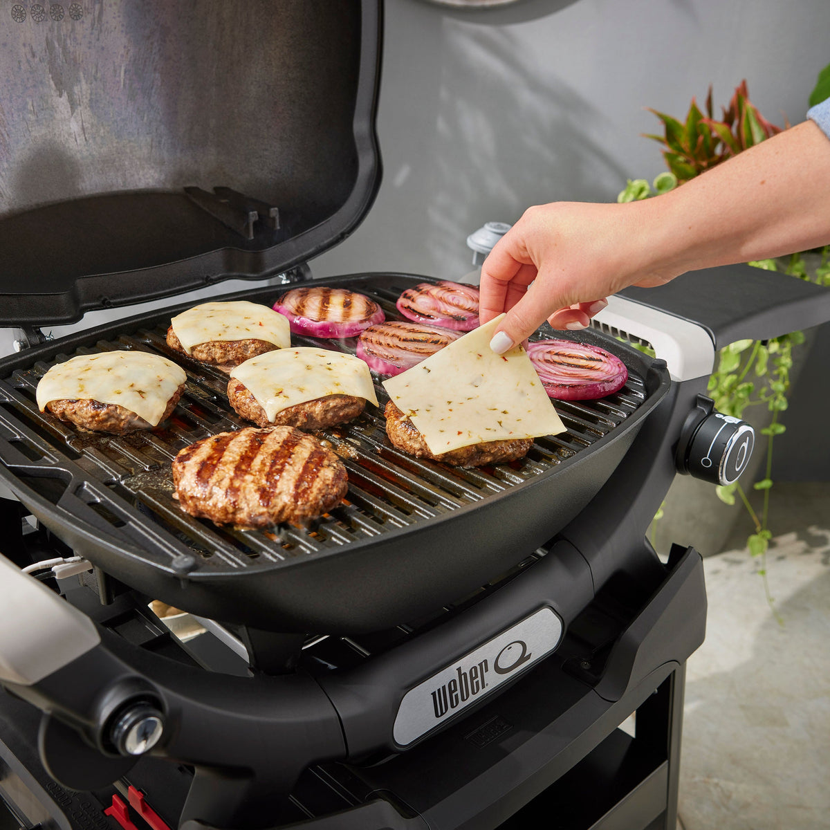 Weber - Q1200 Series Gas Grills