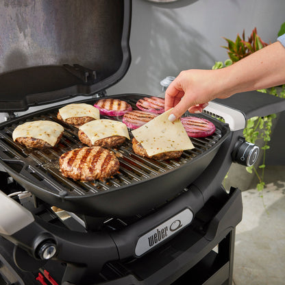 Weber - Q1200 Series Gas Grills