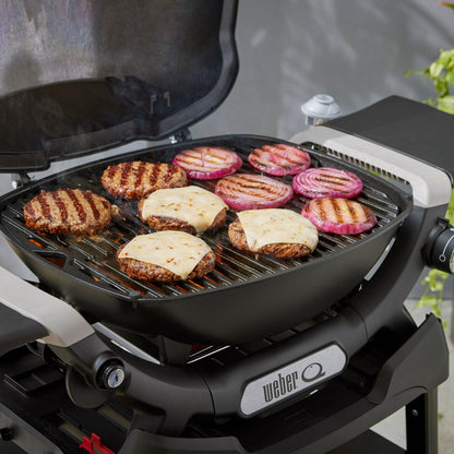 Weber - Q1200 Series Gas Grills