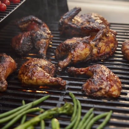 Weber - Genesis E-335W