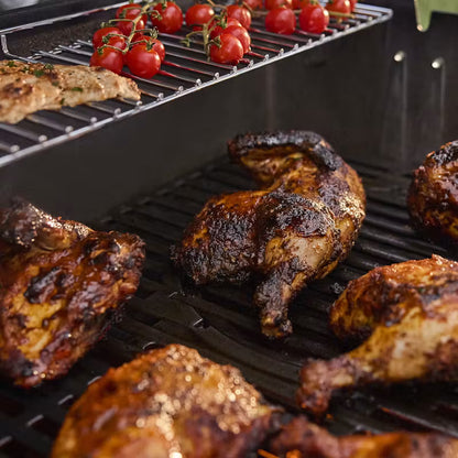 Weber - Genesis E-335W