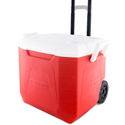 Fresh - Icebox 48L Red (trolley)