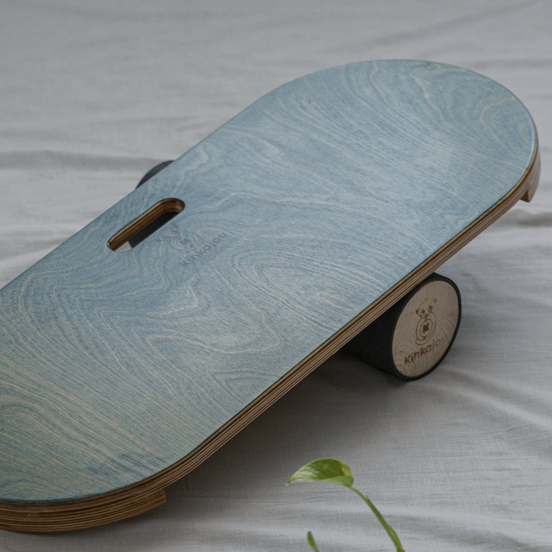 Balance Board